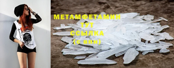 крисы Абаза