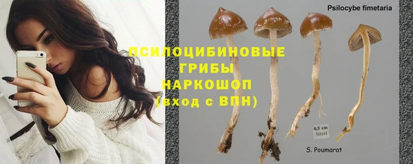 мяу мяу мука Алексеевка