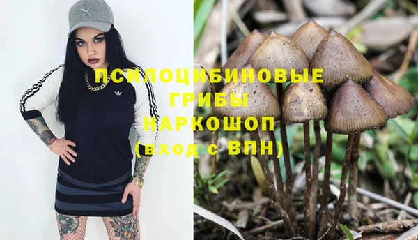 каннабис Алексин